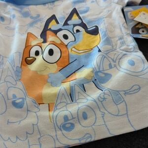 Cartoon Character Bluey 2 T-Shirts in Blue and Orange. 2 Pants . 2T.Girl Or Boy